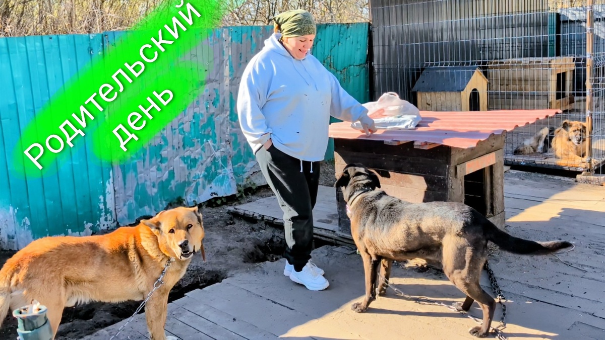 Филя, мама Алла, Маша и Мила