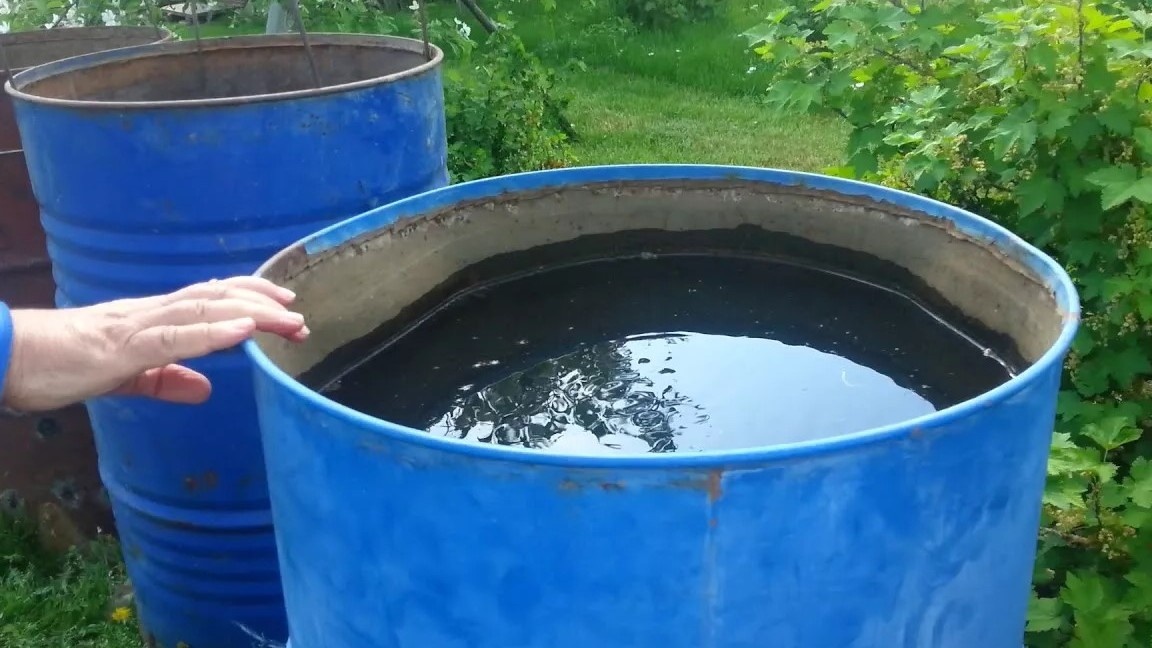 Воду держу в бочке на солнце. Проверяю температуру перед поливом: не ниже +22