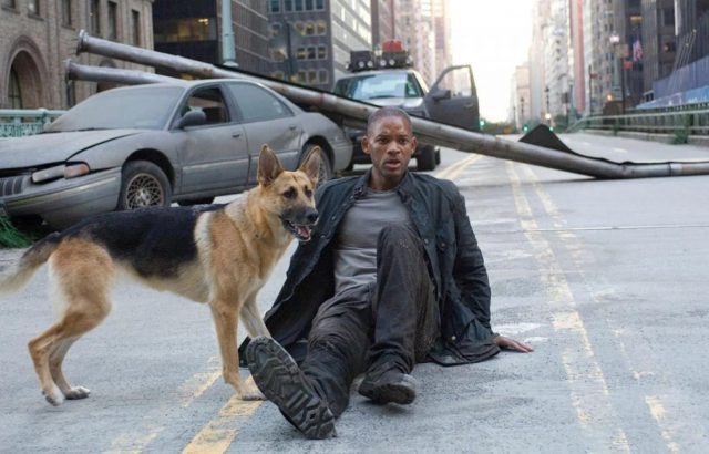    Кадр из фильма «Я – легенда» (I Am Legend)