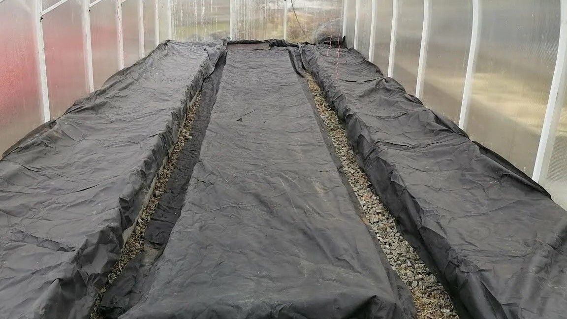 Весной теплица выглядит обманчиво спокойно. Внутри уже идут процессы, которые определят весь сезон