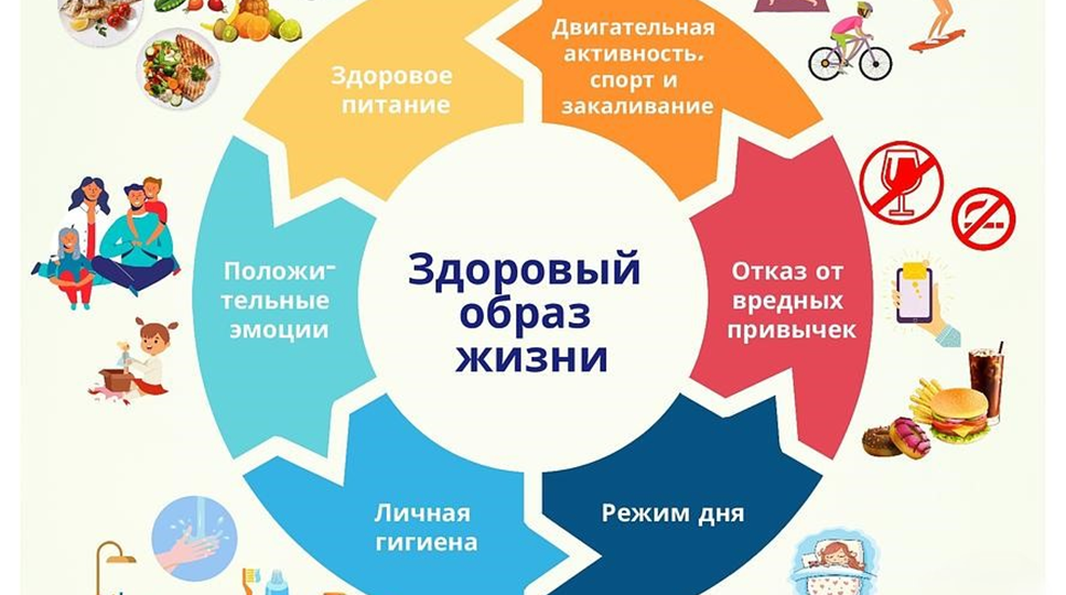 Как сочетание факторов среды, питания и образа жизни влияет на здоровье человека?