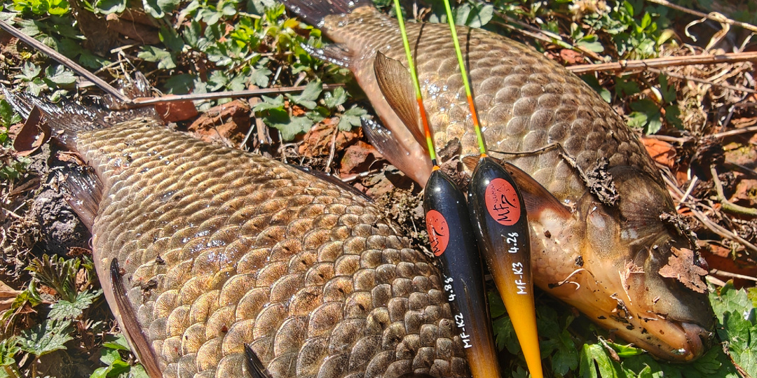 Поплавков много не бывает