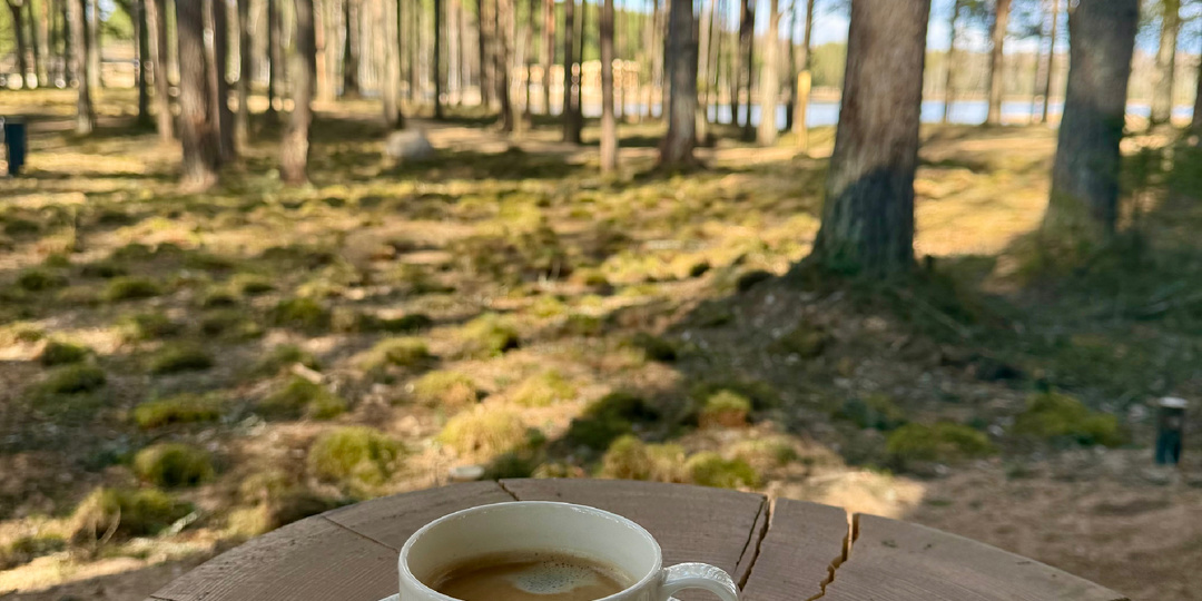 Выходные в пятизвездочном лесу. «Спорт- марафон парк» & «Гастродача Вселуг».