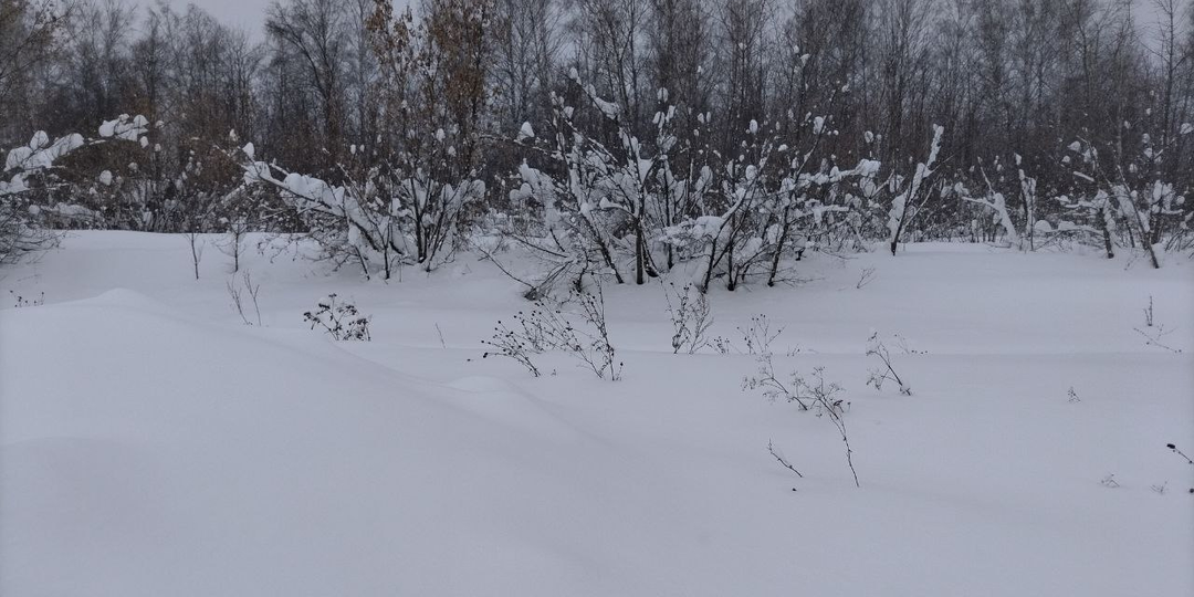 А долг когда вернешь? Глава 6.