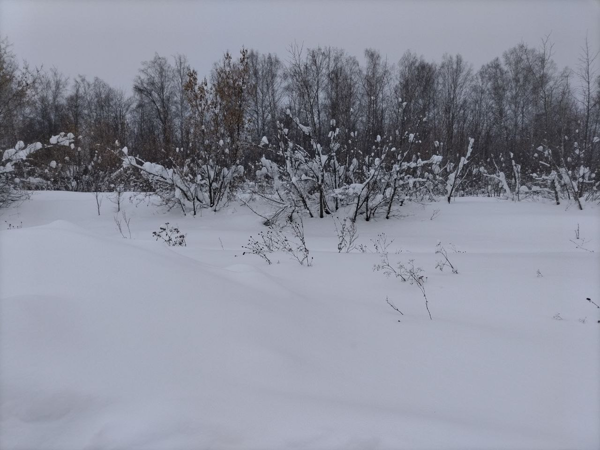 Фото автора.