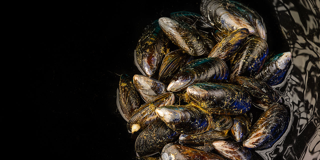 Не бывал я в Одессе!