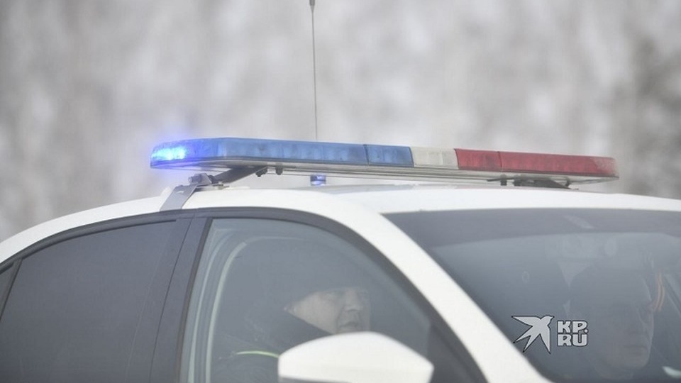 В Североуральске водителей предупредили о косуле на дороге