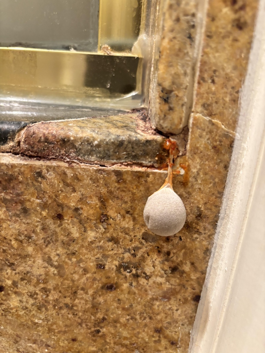 Источник: Secret_Watercress_25 / https://bit.ly/4mEATBI 