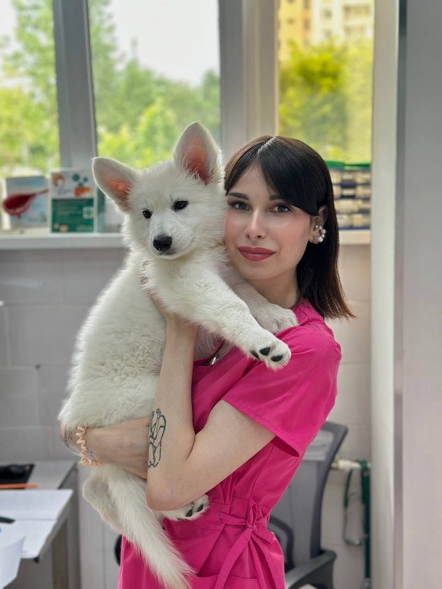 Создать карусель
