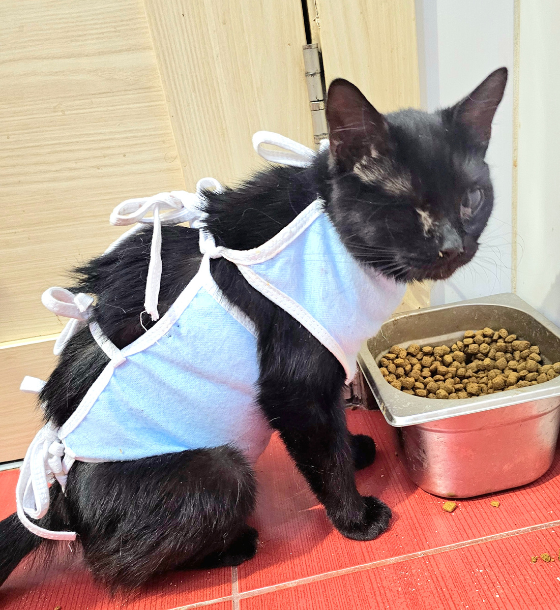 Фото автора. Благодаря вам она жива.