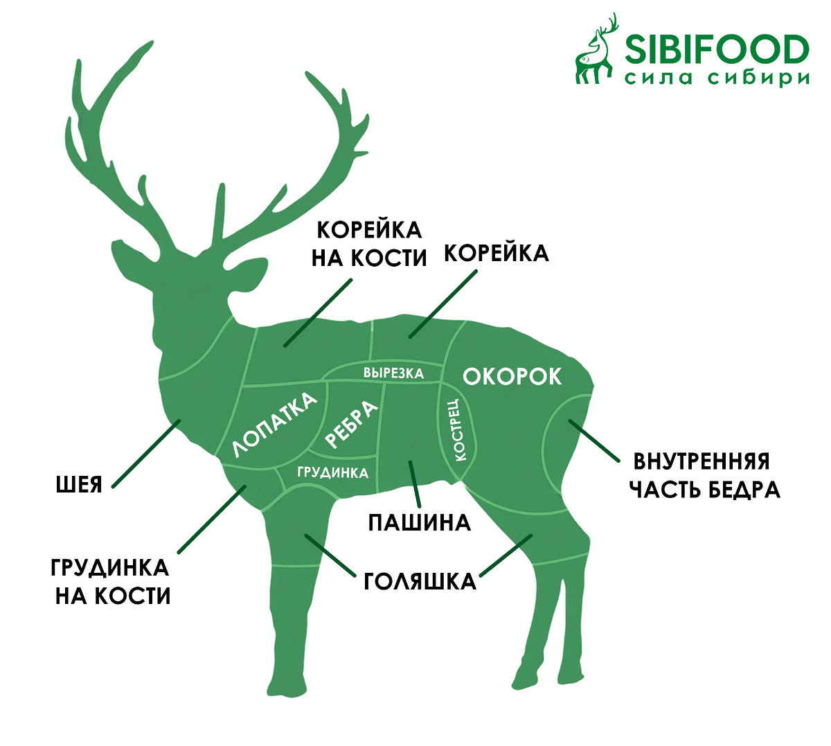 Оленина: карта отрубов