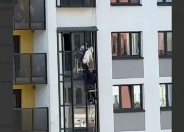    Фото: скриншот видео из тг-канала «Приморский район Спб»