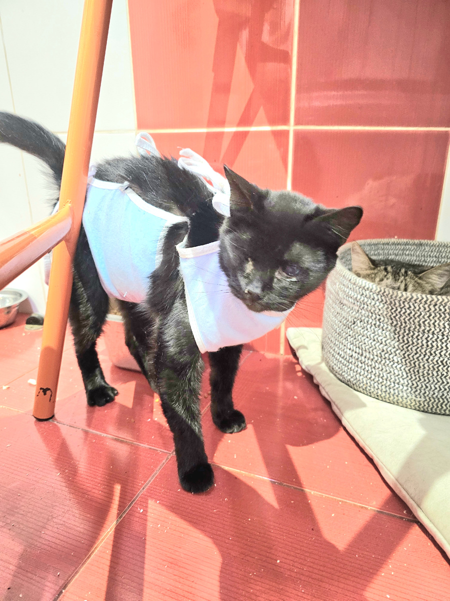 Фото автора. Ева оооооочень хочет жить.