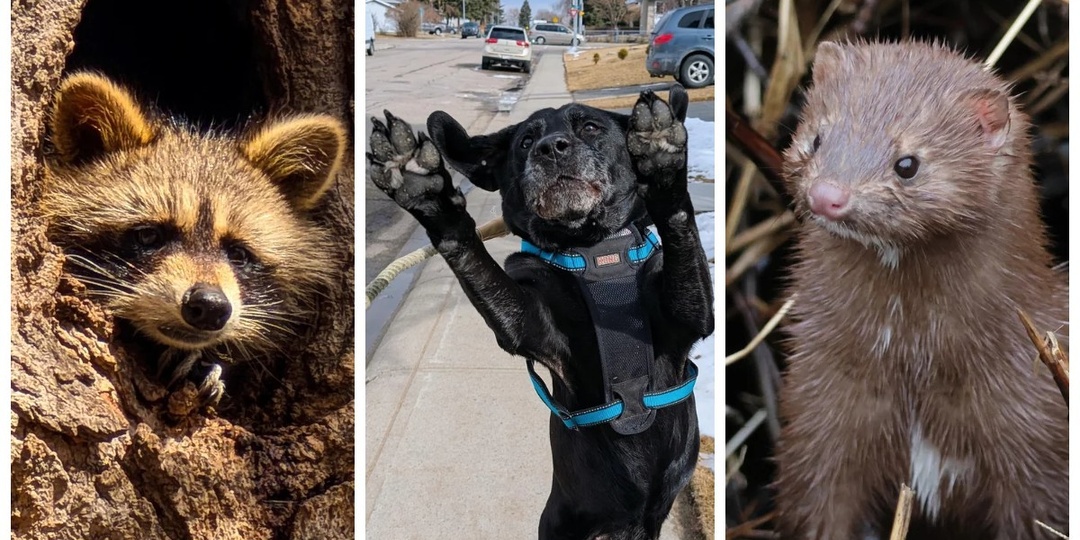 25 фото очаровательных симпатяг, открытость которых растопит даже ледяное сердце