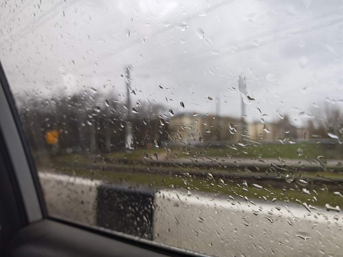 Фото автора канала.