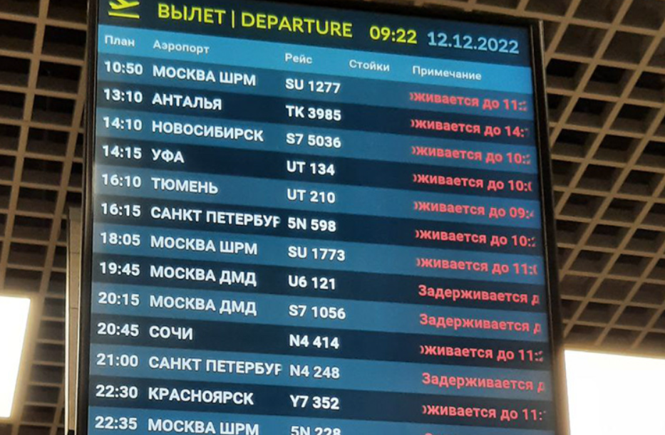 Как получить страховку при задержке рейса: реальные кейсы