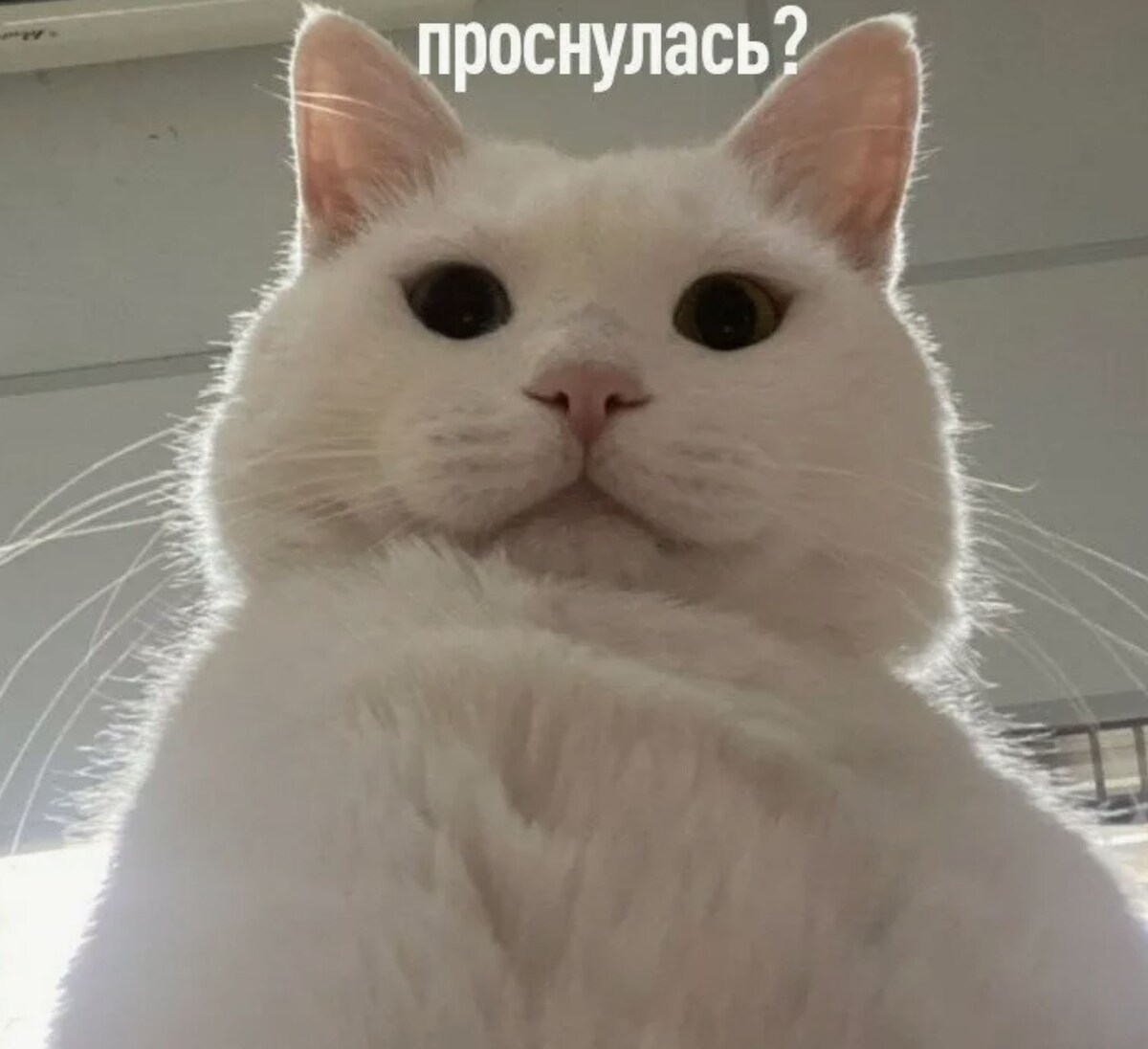 источник Яндекс-картинки