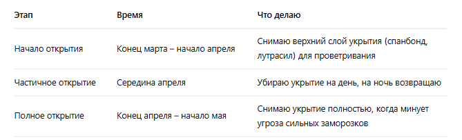 Когда открывать розы весной после зимы