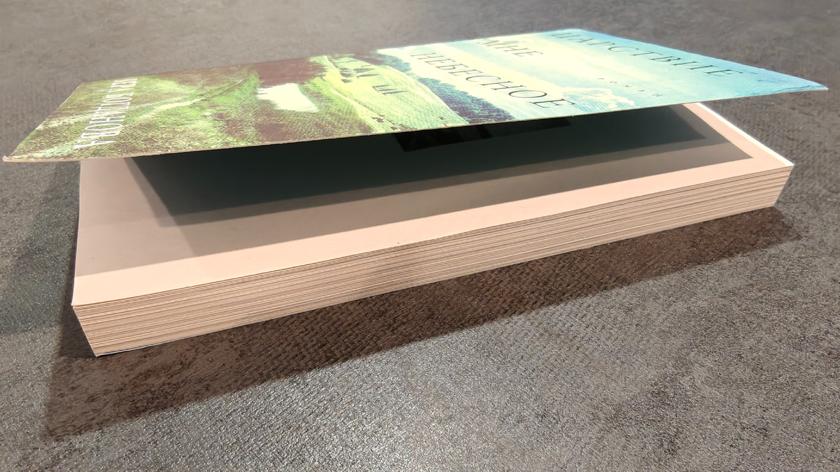 250 страниц, читается махом