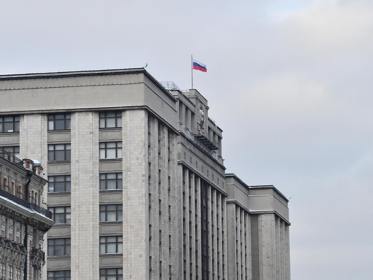    Здание Государственной думы России | © РИА Новости / Наталья Селиверстова