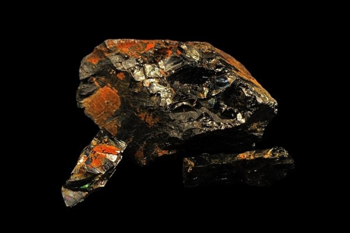    Образцы шунгита из окрестностей села Шуньга / Фото: © 2026 Ольга Макарова