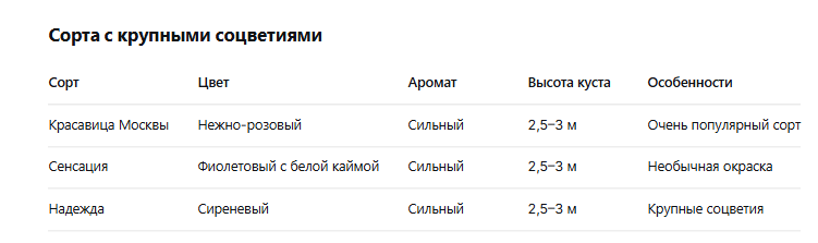 сорта сирени с крупными цветами