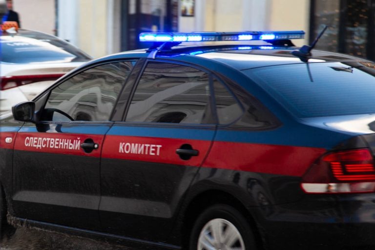    Фото: Общественная служба новостей Ирина Амелина