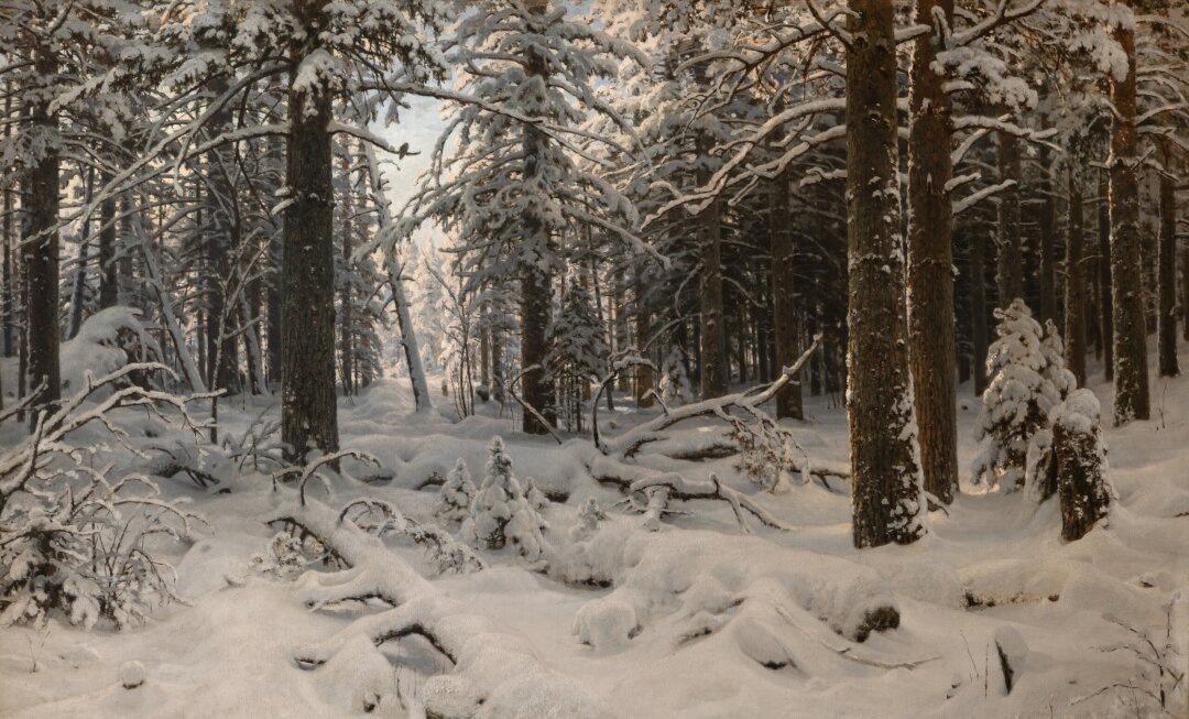    Иван Шишкин. Зима. 1890 Фото: Изображения предоставлены «Собака.ru» пресс-службой Русского музея