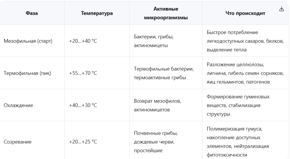 Фазы термического разложения: как работает «горячий» цикл
