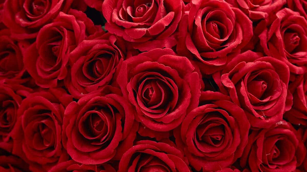    Фото: Дмитрий Белицкий / АГН Москва