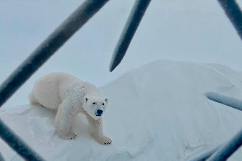 📷 Николай Маковеев, Максим Ляменков, Леонид Круглов