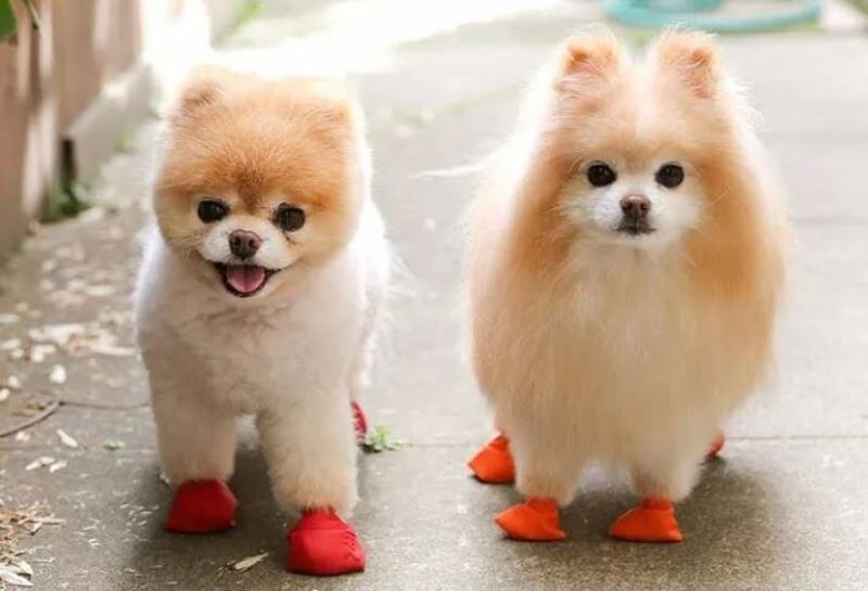     Распространенные типы стрижек NATUMBE.KZ