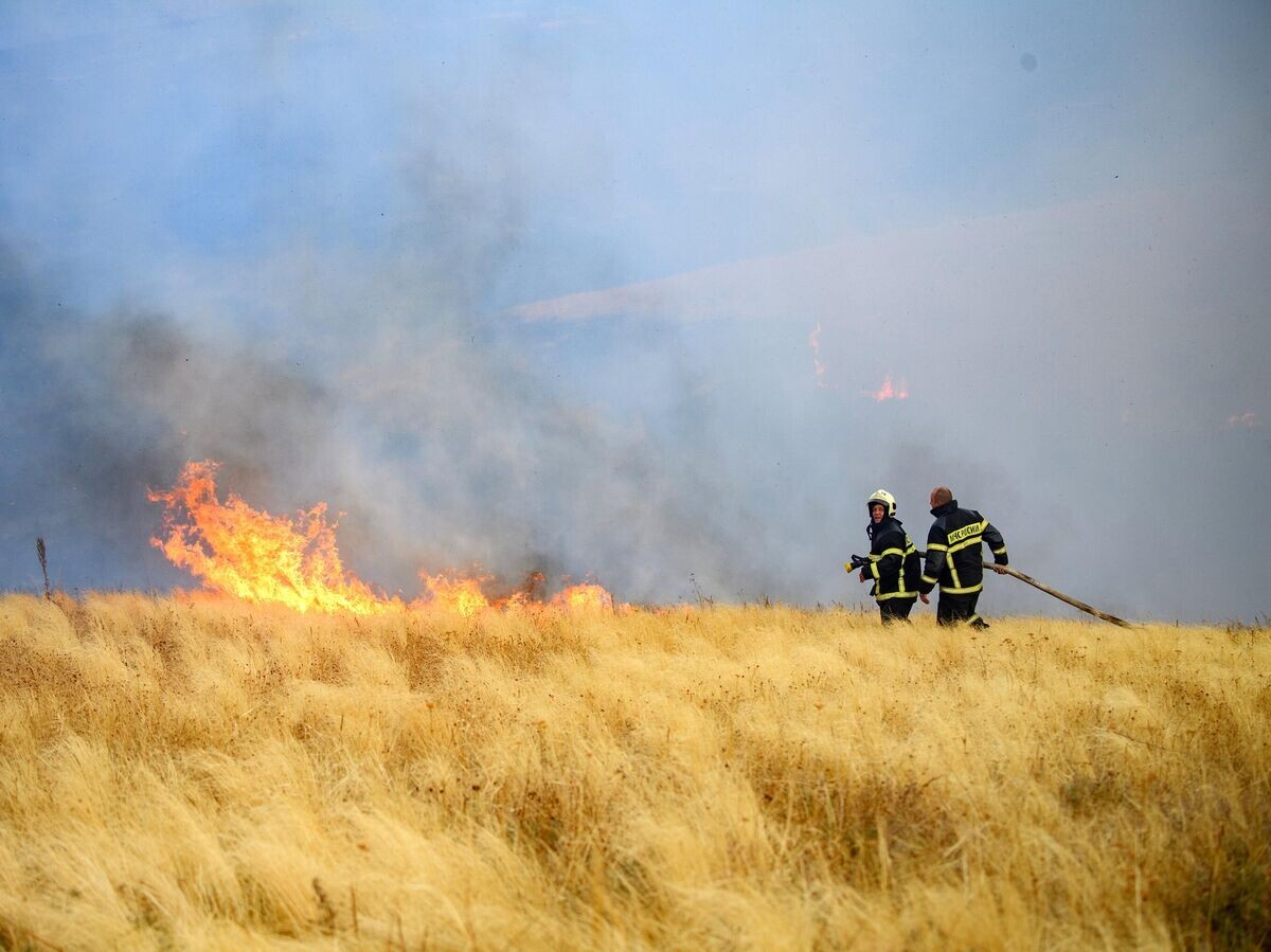    Сотрудники МЧС РФ тушат лесной пожар в Воронежской области | © РИА Новости / Илья Питалев