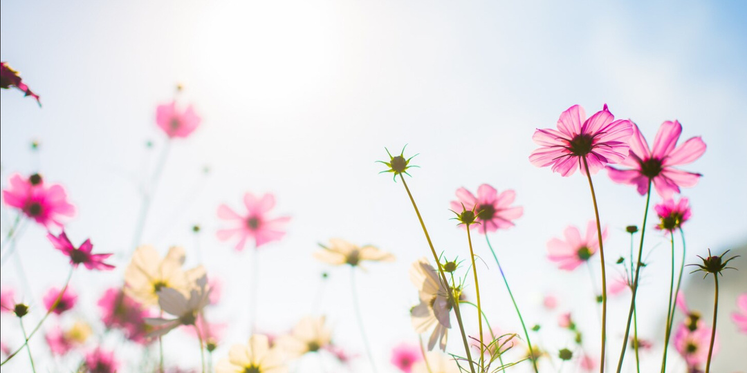 Можно ли жить счастливо, живя с манипулятором