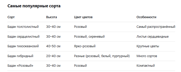 популярные сорта бадана