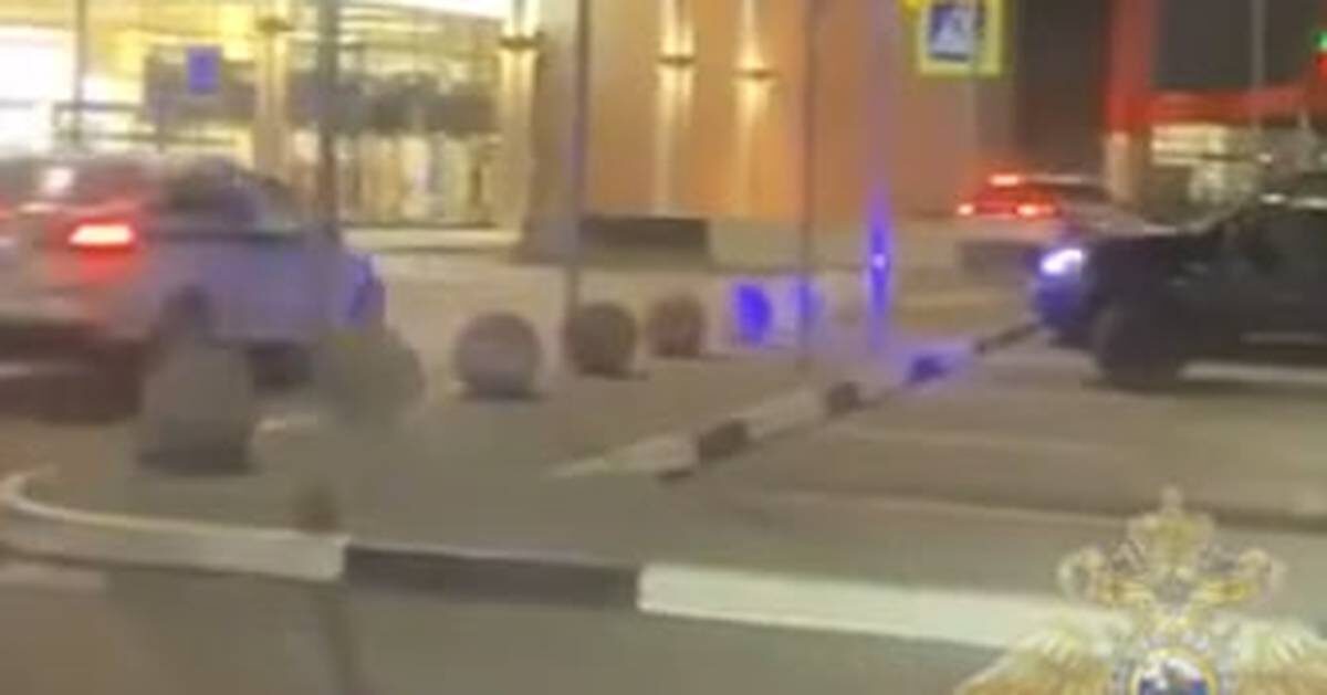    Фото: скриншот / пресс-служба ГУ МВД России по Московской области / МАКС