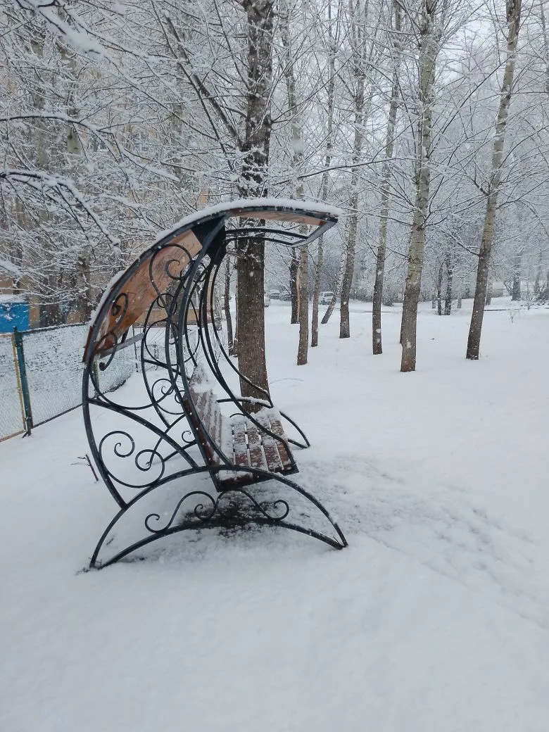 Фото мужа с той же воскресной прогулки. Новых нет. Снег почти растаял, кругом грязь и вода 