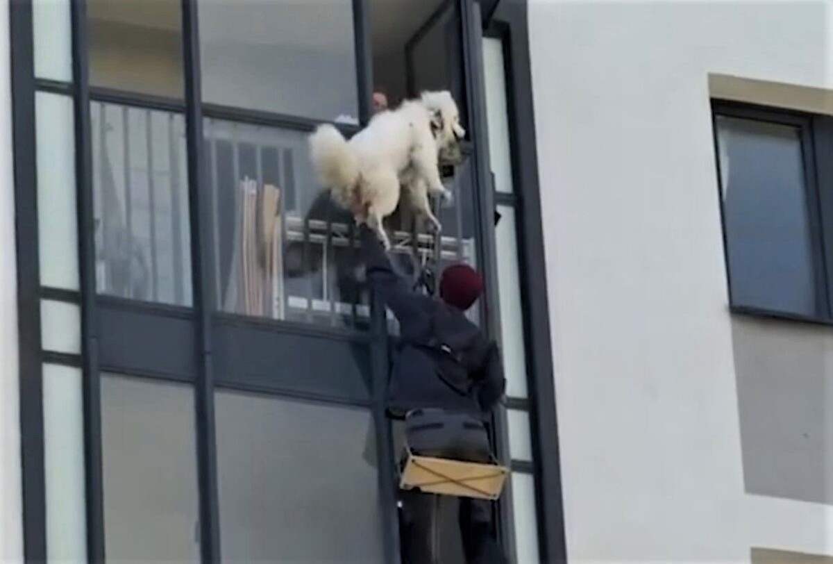     / Источник: Кадр из видео