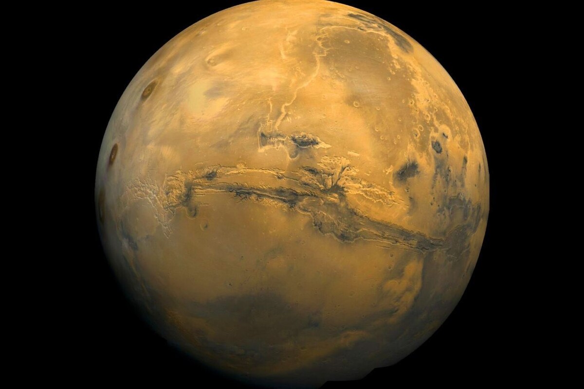     / Источник: © Global Look Press