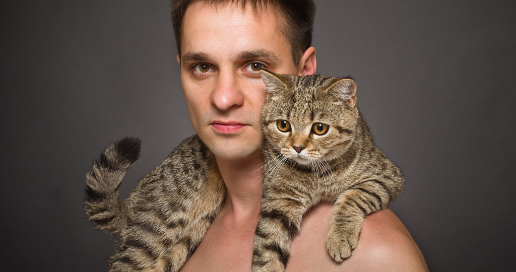 😸20 причин, почему жить с кошкой проще, чем с женщиной