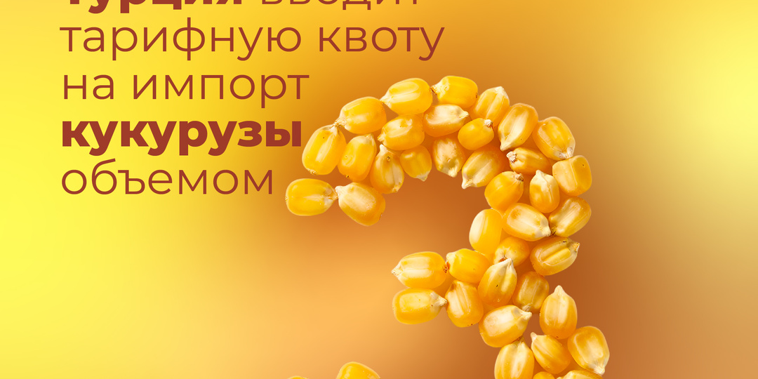 Турция вводит тарифную квоту на импорт кукурузы объемом 3 млн тонн