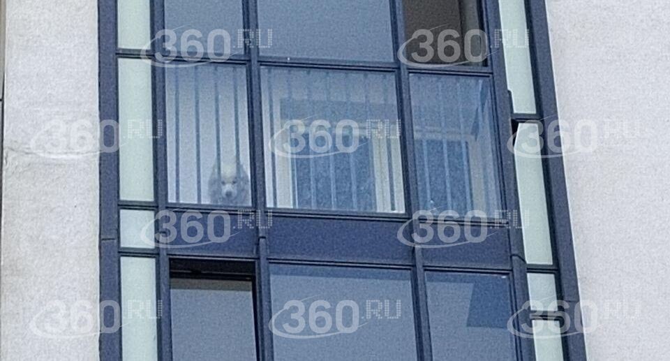    360.ru