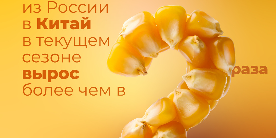 Экспорт кукурузы из России в Китай в текущем сезоне вырос более чем в 2 раза