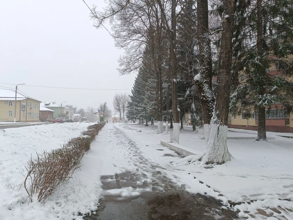 Фото Ольги Чикиревой