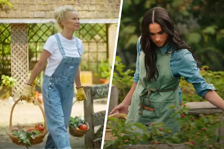 фото из яндекса