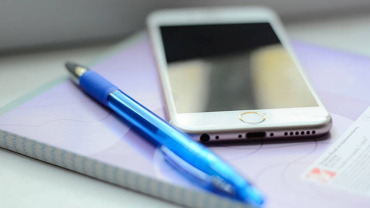    Фото: Анна Быкова / Вечерняя Москва