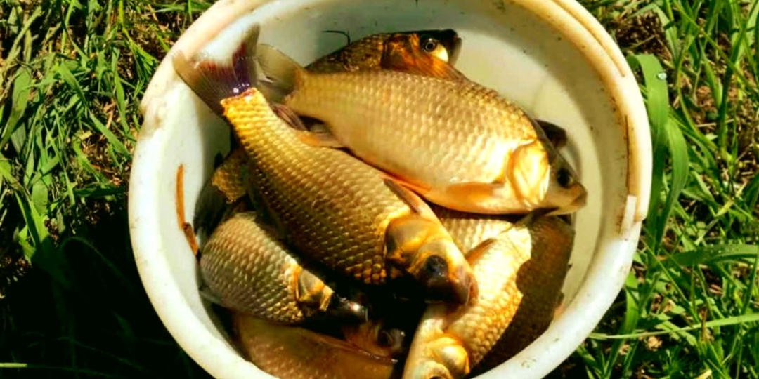 Домашний активатор клева за 30 рублей - рыба клюет как бешеная