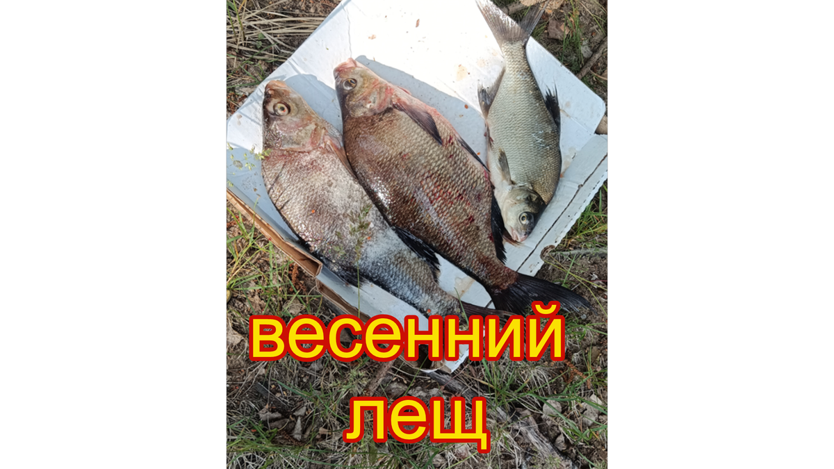 фото сезона 2025