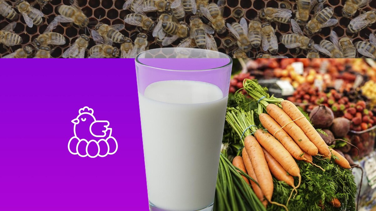 Коллаж 78.ru: pngegg.com, ИЗВЕСТИЯ/Сергей Лантюхов, pxhere.com, flaticon.com/amonrat rungreangfangsai