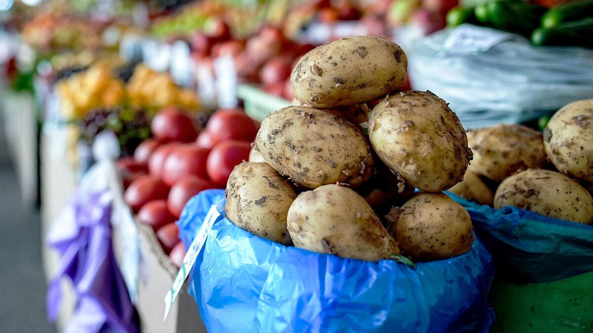 Фото: ИЗВЕСТИЯ/Сергей Лантюхов